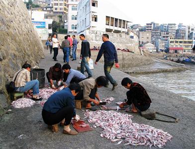 浙江玉环县县城总人口_县城乡建委负责人向玉环县党政代表团一行介绍双桂新(2)