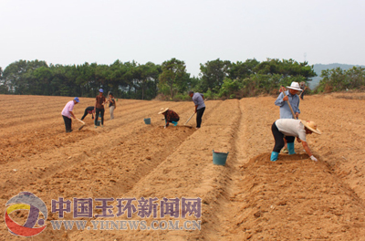 玉环横床人口_玉环人民医院(3)