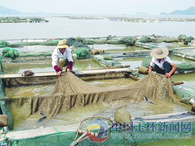 玉环各镇街道gdp_悬玉环