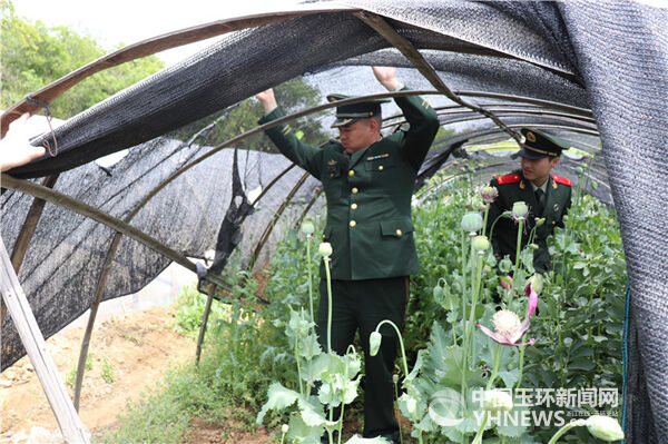 玉环市干江镇多少人口_玉环市干江镇垟岭村(2)