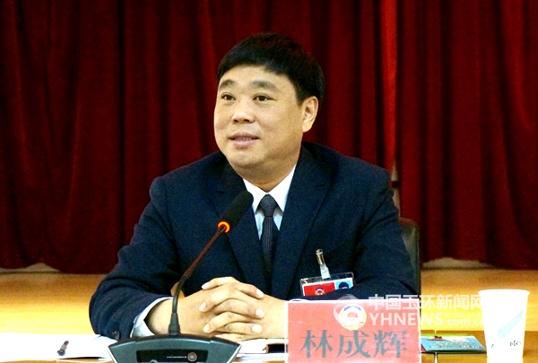 林成辉参加政协工商联组和社会法制组讨论